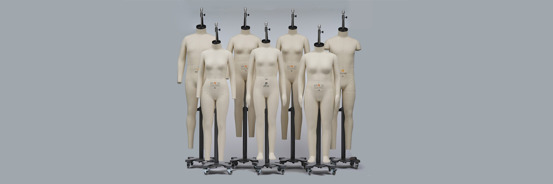 3D body